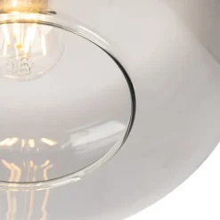 Smart plafondlamp zwart met smoke glas incl. Wifi A60 - Bizle