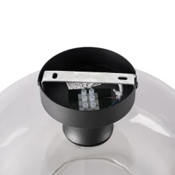 Smart plafondlamp zwart met smoke glas incl. Wifi A60 - Bizle