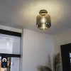 Smart plafondlamp zwart met goud en smoke glas incl. Wifi A60 - Zuzanna