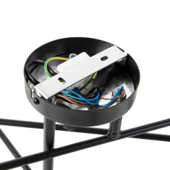 Smart plafondlamp zwart met goud 6-lichts incl. Wifi G95 - Sydney