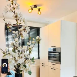 Smart plafondlamp zwart met smoke glas incl. 2 Wifi P45 - Vidro