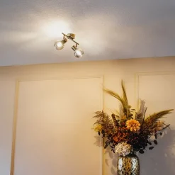 Smart plafondlamp zwart met smoke glas incl. 2 Wifi P45 - Vidro