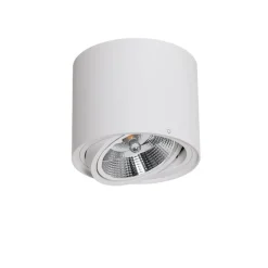 Smart plafondspot wit draai- en kantelbaar incl. Wifi GU10 111mm - Rondoo Up