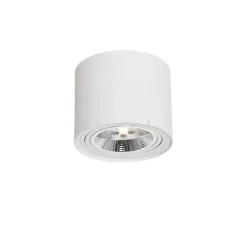 Smart plafondspot wit draai- en kantelbaar incl. Wifi GU10 111mm - Rondoo Up