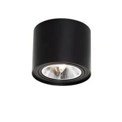 Smart plafondspot zwart draai- en kantelbaar incl. Wifi GU10 111mm - Rondoo Up