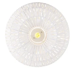 Smart retro plafondlamp wit incl. Wifi A60 - Lina