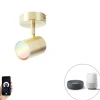 Smart spot messing verstelbaar incl. Wifi GU10 - Jeana