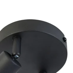 Smart spot zwart kantelbaar rond incl. 2 Wifi GU10 - Jeany