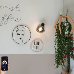 Smart spot zwart met smoke glas incl. Wifi P45 - Vidro