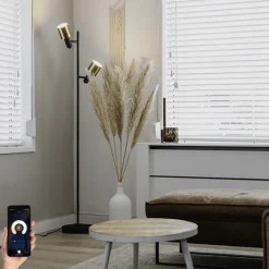 Smart vloerlamp zwart met goud incl. 2 Wifi A60 - Stijn