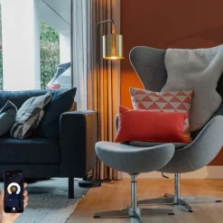 Smart vloerlamp zwart met goud incl. Wifi A60 - Lofty