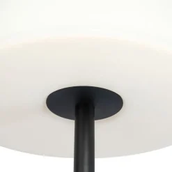 Smart vloerlamp zwart met witte kap 35 cm IP65 incl. LED - Virginia