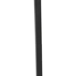 Smart vloerlamp zwart met smoke glas incl. Wifi ST64 - Qara Down