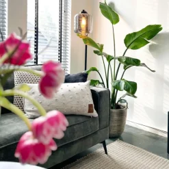 Smart vloerlamp zwart met smoke glas incl. Wifi ST64 - Qara Down