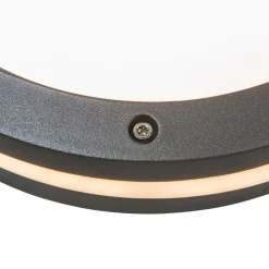 Smart wand- en plafondlamp donkergrijs incl. Wifi A60 - Glow