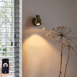 Smart Wandspot brons draai- en kantelbaar met schakelaar incl. Wifi GU10 50mm - Karin 1