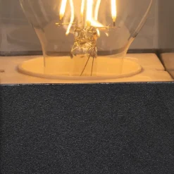 Staande buitenlamp zwart 50 cm IP44 met smoke glas - Denmark