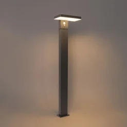 Staande buitenpaal donkergrijs 80 cm incl. LED en dimlicht op solar - Sunnie