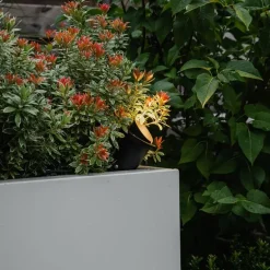 Tuinspot-prikspot zwart incl. snoer en stekker IP65 - Done