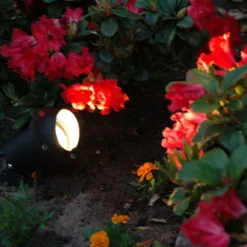 Tuinspot-prikspot zwart incl. snoer en stekker IP65 - Done