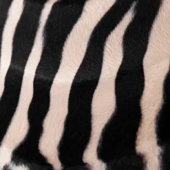 Velours lampenkap zebra dessin 35/35/20 gouden binnenkant