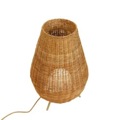 Vloerlamp rotan dimbaar IP65 met afstandsbediening - Saona