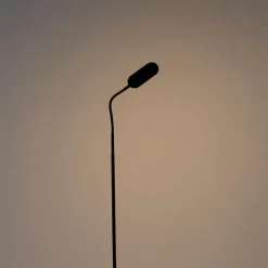 Vloerlamp zwart incl. LED 5-staps dimbaar in kelvin - Botot