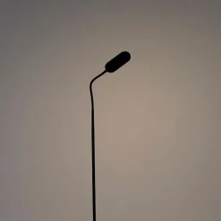 Vloerlamp zwart incl. LED 5-staps dimbaar in kelvin - Botot