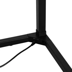 Vloerlamp zwart incl. LED met RGB en afstandsbediening - Carla