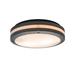 Wand- en plafondlamp donkergrijs 2-lichts IP54 - Glow