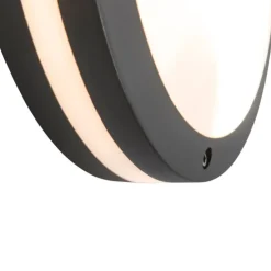 Wand- en plafondlamp donkergrijs 2-lichts IP54 - Glow