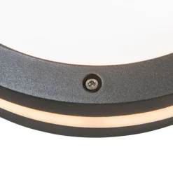 Wand- en plafondlamp donkergrijs 2-lichts IP54 - Glow