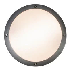 Wand- en plafondlamp donkergrijs 2-lichts IP54 - Glow